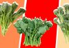 Broccoli Rabe vs. Broccolini: Which Vegetable is Right for You