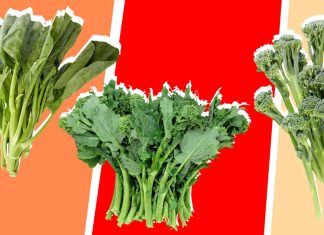 Broccoli Rabe vs. Broccolini: Which Vegetable is Right for You