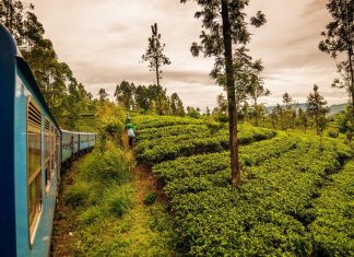 Eco-Friendly Transportation Options for Your Sustainable Travel Adventure