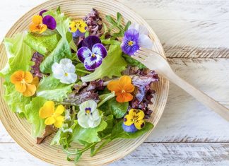 Top Edible Flowers You Can Eat