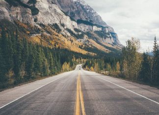 Epic Road Trip Ideas for Adventure Seekers