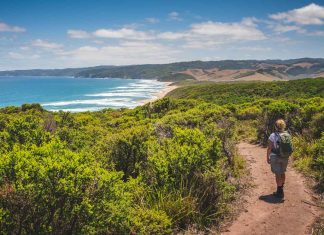 Most Interesting facts about Australia