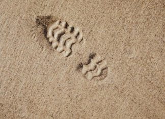 Green Travel Tips: Reduce Your Carbon Footprint While Exploring the World