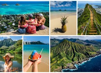 Top Activities to do in Hawaii