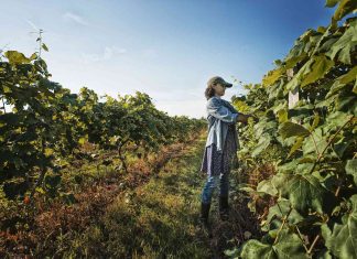 How to Support Local Agriculture on Your Travels?