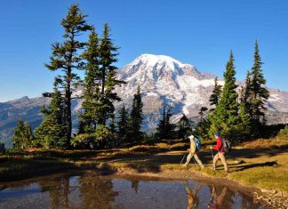 Hiking Trails for All Levels: A Guide to Exploring the Great Outdoors