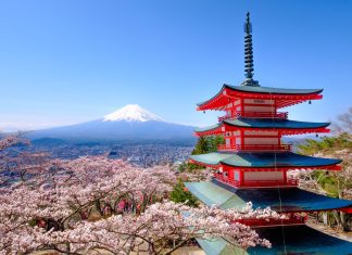 Exploring the Rich History and Culture of Japan