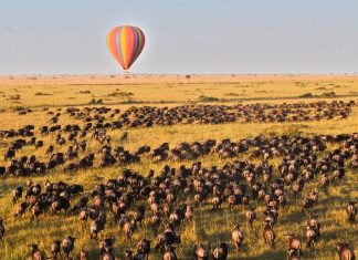 Top Epic Adventure Activities In Kenya