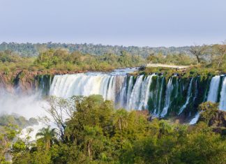 Where To Experience The Best Nature And Wildlife In Argentina