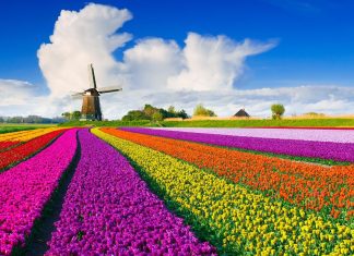 What is Netherlands Famous for?