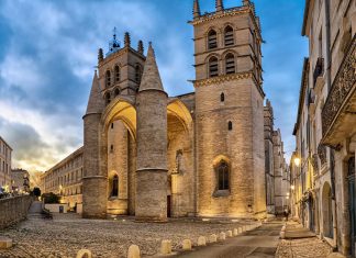 Top Outdoor Activities in Montpellier