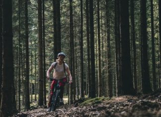 Hiking, Biking, and More: Outdoor Adventures in Denmark