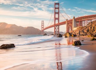 Top Spots for Nature Lovers in and Around San Francisco