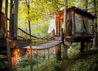 The Best Places to Sleep in a Treehouse