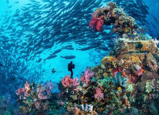 The World’s Best Underwater Caves and Shipwrecks