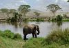 Must Know Things Before Visiting Tanzania