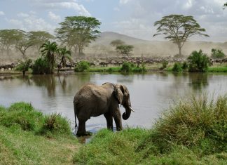 Must Know Things Before Visiting Tanzania