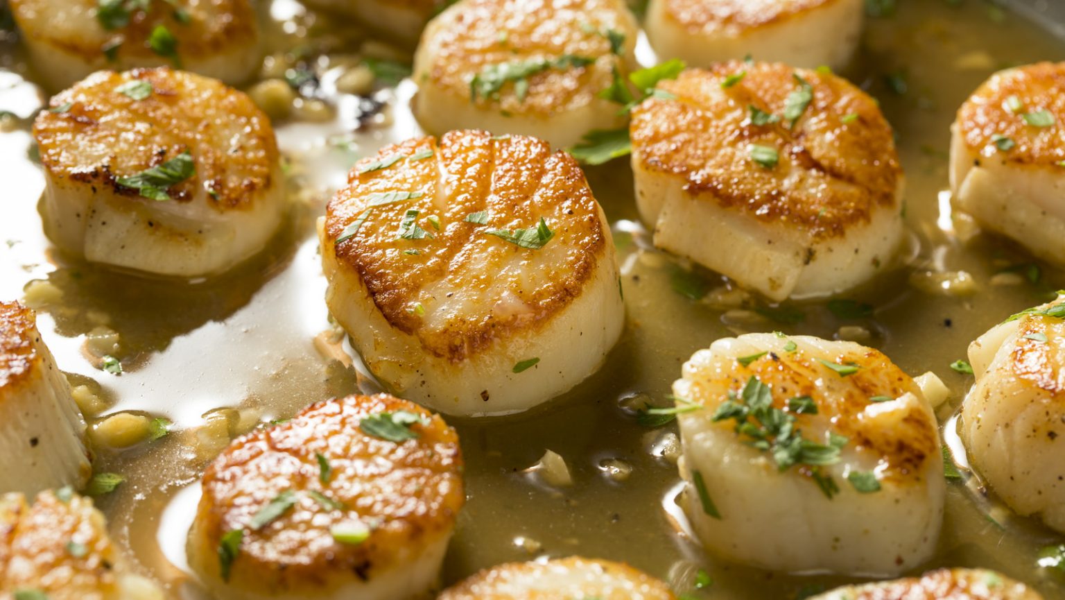 The Difference Between Wet Scallops and Dry Scallops Expedly