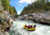 The Best Whitewater Rafting Adventures