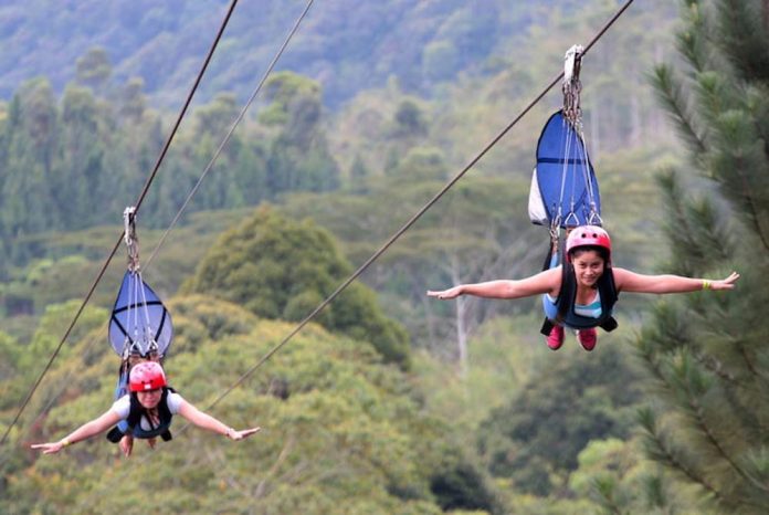 The Best Ziplines Around the World to Try